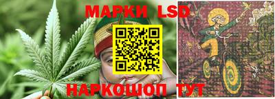 a pvp Будённовск