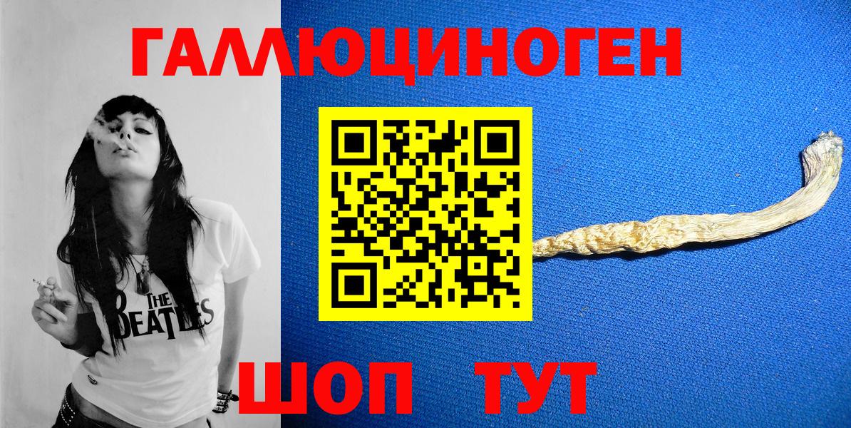 Псилоцибиновые грибы Cubensis Сургут