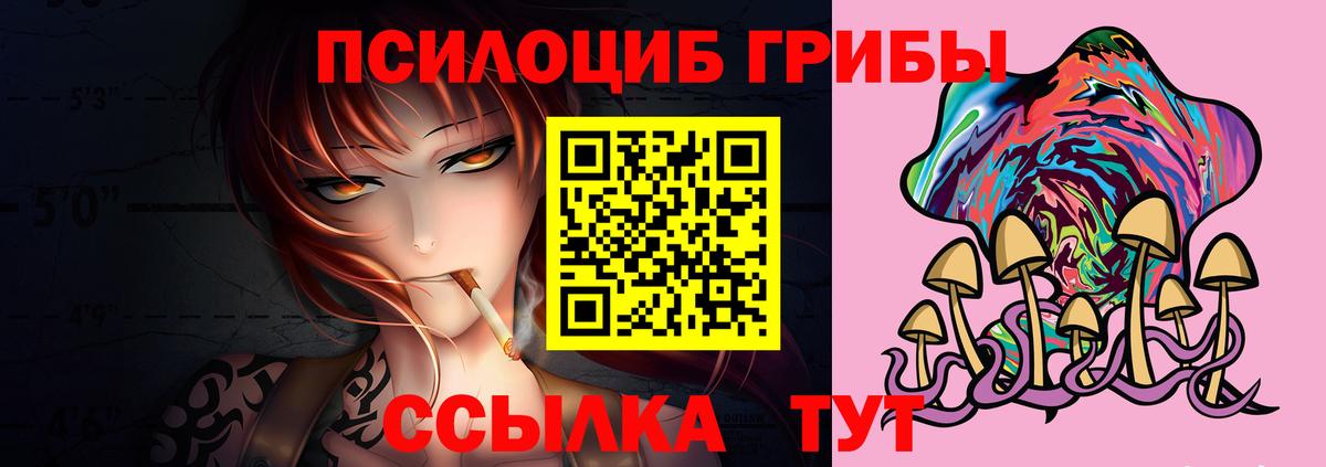 Псилоцибиновые грибы мицелий  Галлюциногенные грибы Magic Shrooms  Сургут 